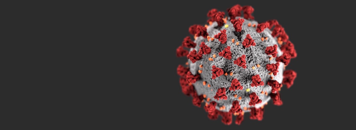 COVID-19 Molecule