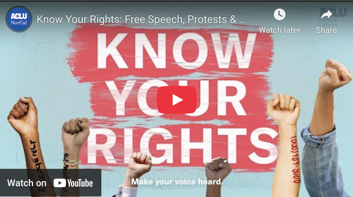 screenshot of protest know your rights video
