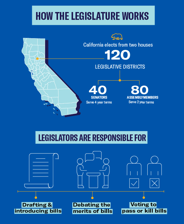 How the Legislature Works