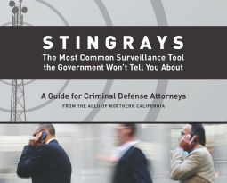 Stingray report cover