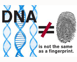 DNA ≠ fingerprint