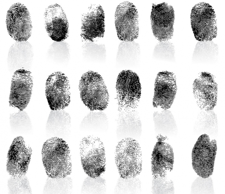 fingerprints / shutterstock