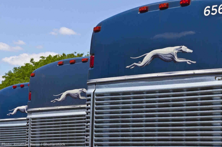 shutterstock image of greyhound buses