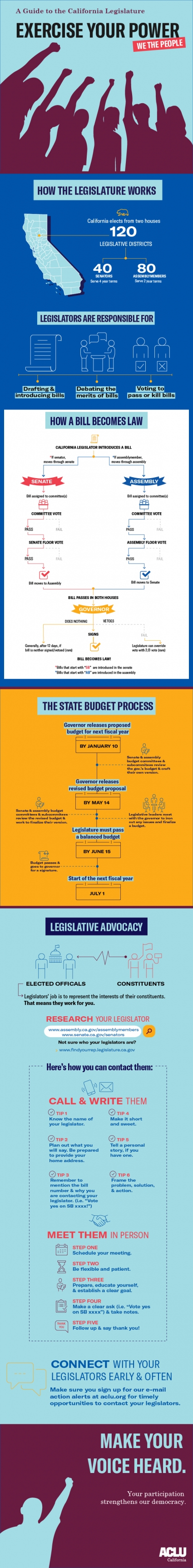 California Legislative Infographic