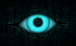Eye surveillance