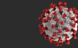 COVID-19 Molecule