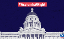 Capitol with #AsylumIsARight hashtag