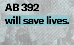 ab 392 will save lives