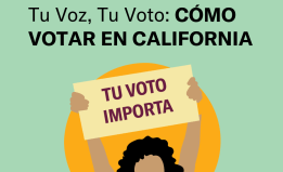 Graphic for "Tu Voz, Tu Voto"