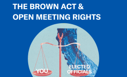 Scale showing equality of You and Elected Officials in California