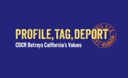 Blue rectangel background with yellow text that says "Profile, Tag, Deport" in bold. Underneath the yellow text, there is smaller white text that reads "CDCR Betrays California Values"