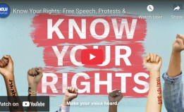 screenshot of protest know your rights video