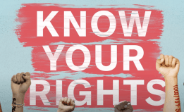 raised fists next to the words know your rights