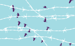 birds behind barbed wire