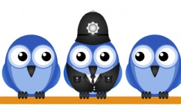 Three blue birds on a line, one is wearing a police uniform