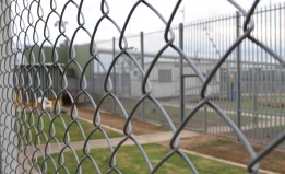 fence