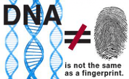 DNA ≠ fingerprint