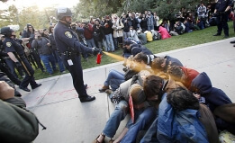 U.C. Davis pepper spray protest