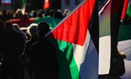 protestors carrying palestinian flags