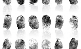 fingerprints / shutterstock