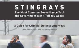Stingrays: The most common surveillance tool the government won't tell you about