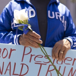 Image of TPS advocate by Sam Comen, www.samcomen.com