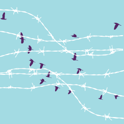 birds behind barbed wire