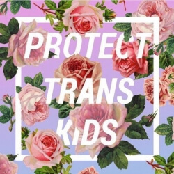 'Protect Trans Kids' source: https://www.instagram.com/p/BQ3U-3zBGzW/?taken-by=chantelhouston