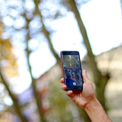 Protestor recording with phone