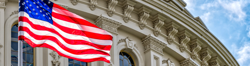 Flag in front of government building