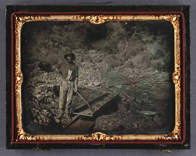 Gold miner