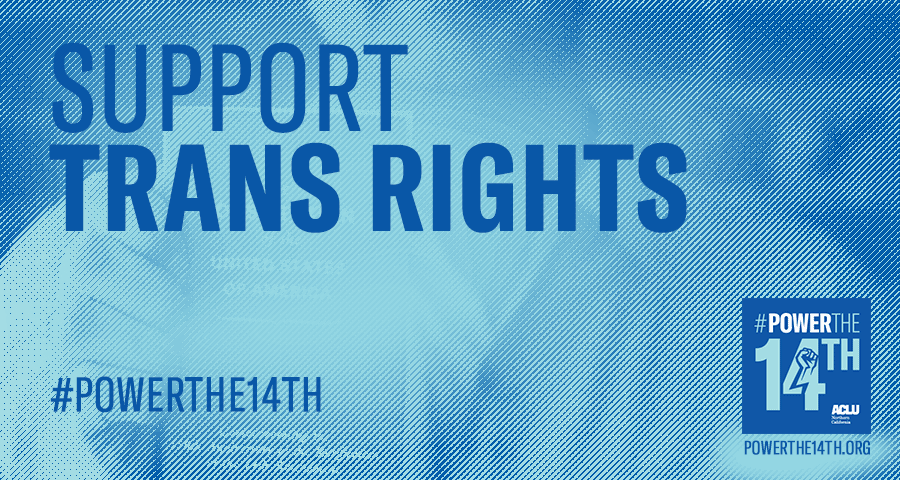Support Trans Rights